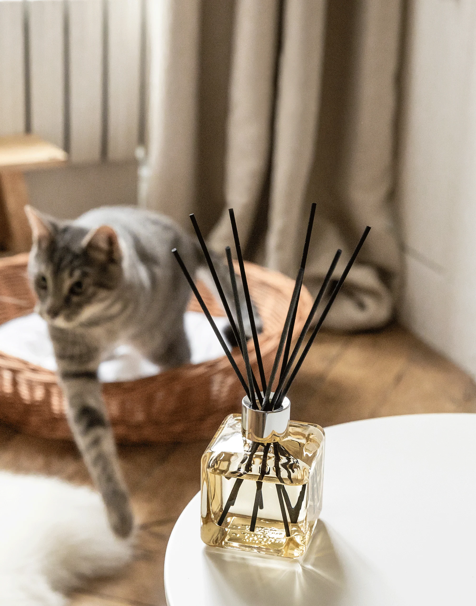My Home Free from Pet Odours Scented Bouquet - Image 5